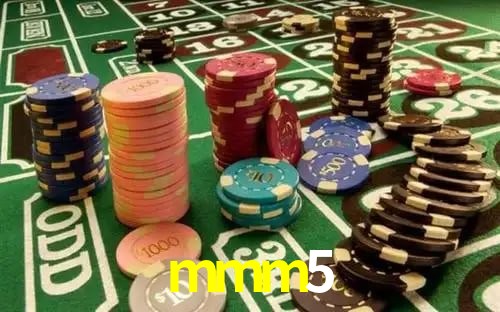 mmm5 plataforma